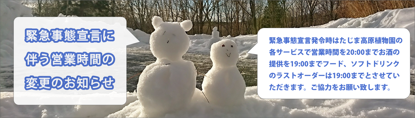 金キュ自体宣言