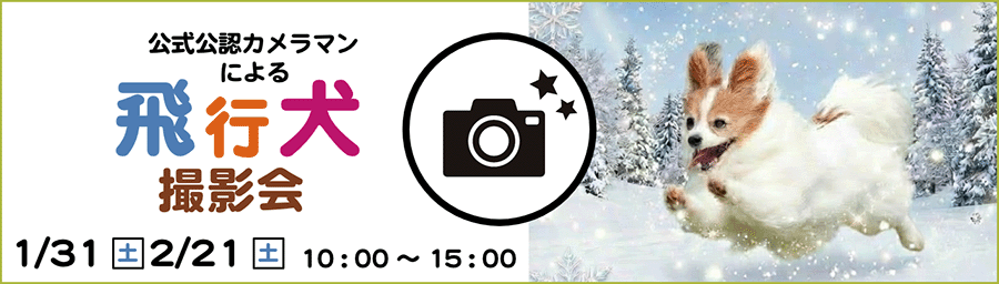 飛行犬撮影会