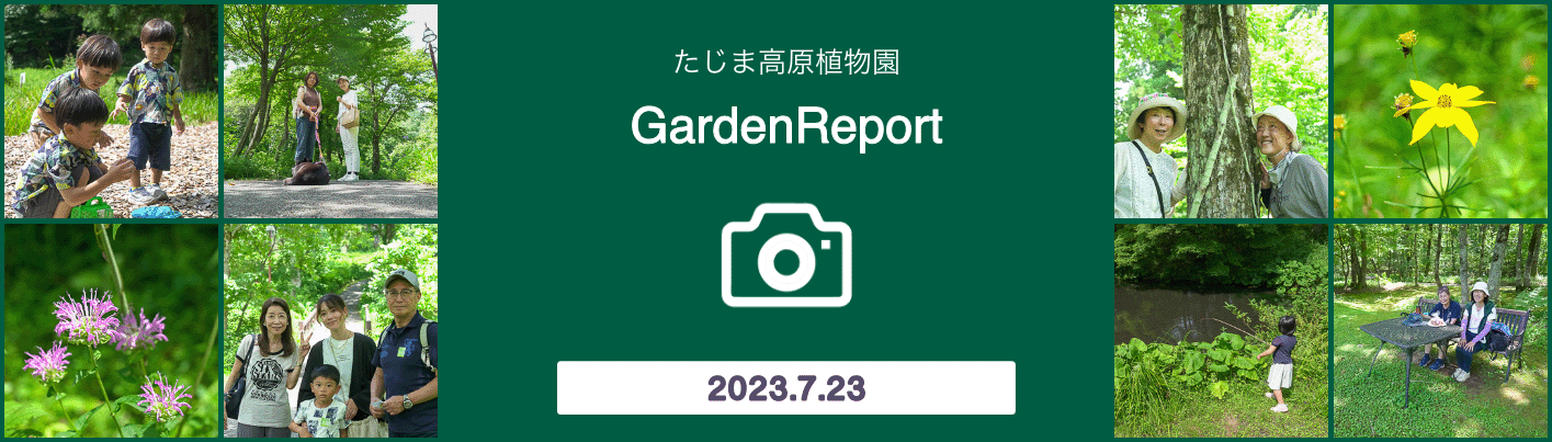 ガーデンレポート723